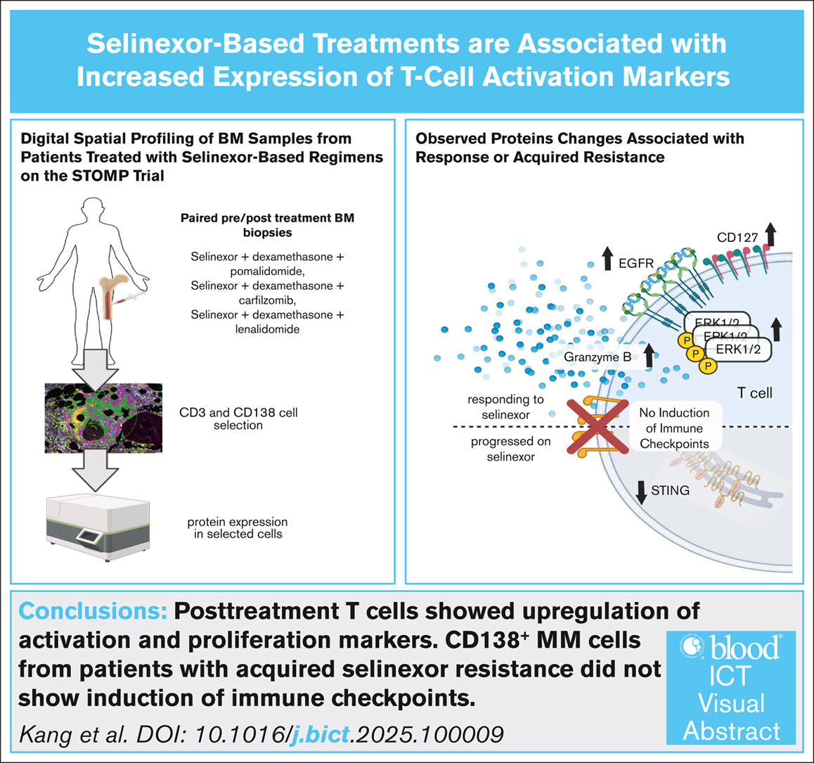 Visual Abstracts | Journals Gateway | American Society of Hematology