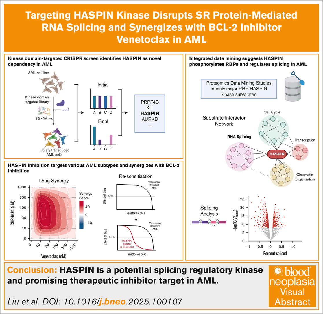 Visual Abstracts | Journals Gateway | American Society of Hematology