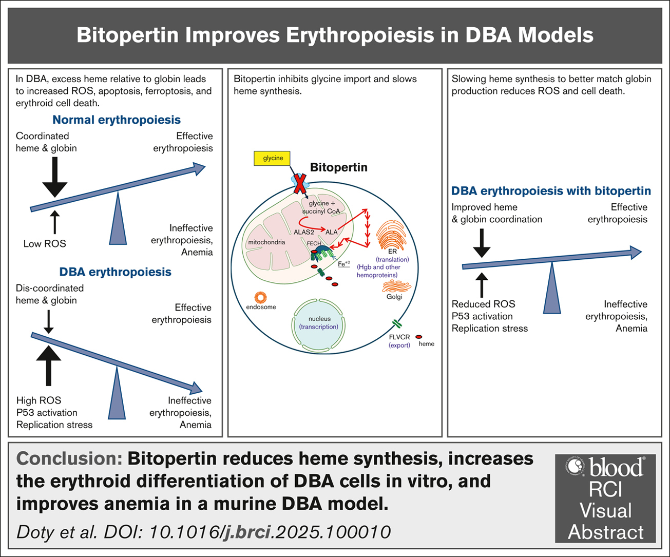 Visual Abstracts | Journals Gateway | American Society of Hematology