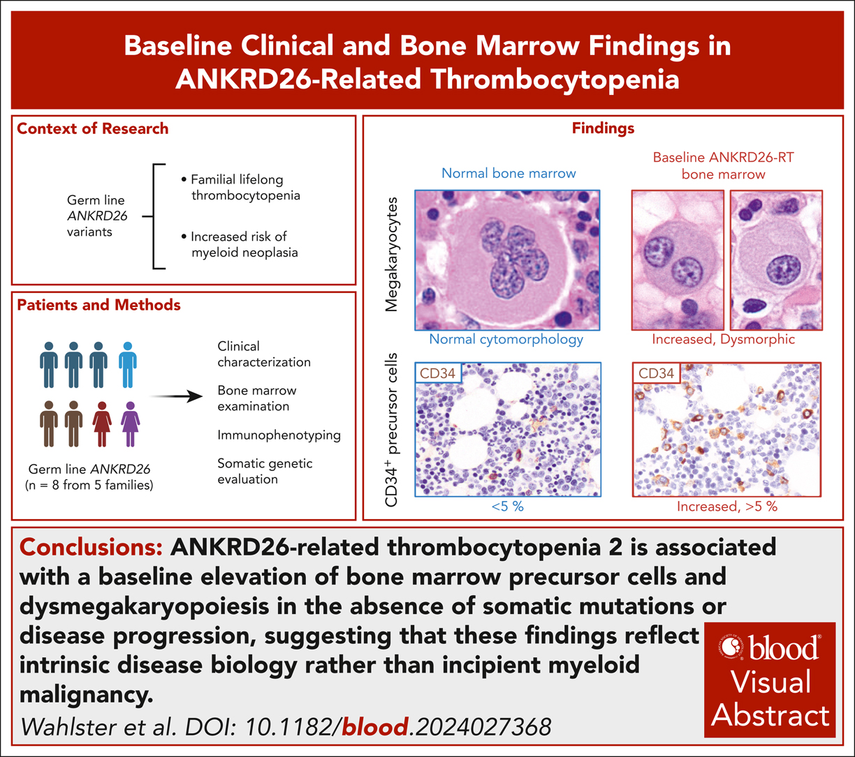 Visual Abstract Liver Visual Abstracts | Journals Gateway | American Society of Hematology
