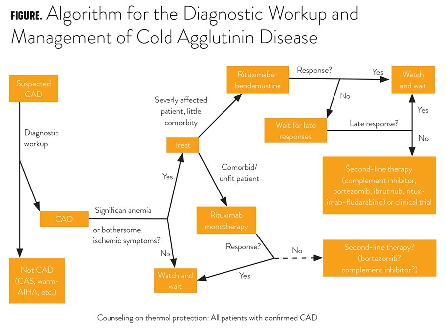 Treatment of Cold Agglutinin Disease | ASH Clinical News | American ...