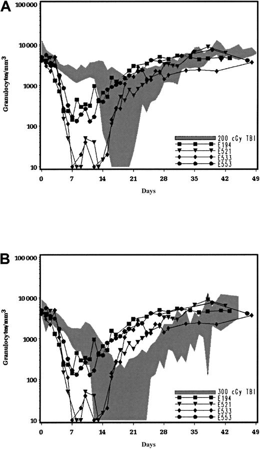 Fig. 4. Comparison of peripheral blood granulocyte counts after TBI and radioimmunotherapy. / Granulocyte counts in 4 dogs given the anti-CD45 mAb (0.4-1.0 mg/kg) coupled to 1.9 to 5.9 mCi (70-218 MBq/kg) 213Bi/kg without marrow rescue compared with granulocyte counts in control dogs given 200 cGy external-beam γ TBI (A) and control dogs given 300 cGy TBI without marrow rescue (B).36