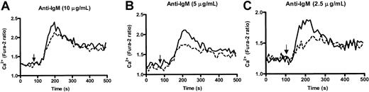 Fig. 6. PECAM-1−/− mice show enhanced kinetics of intracellular Ca++ responses upon IgM cross-linking. / Purified splenic B cells from wild-type and PECAM-1−/−mice were loaded with Fura-2/AM, washed, and resuspended in PBS containing 1 mM CaCl2 and 1 mM MgCl2. Calcium mobilization profiles were measured for PECAM-1+/+(---) and PECAM-1−/− (___) B cells after cross-linking BCR by stimulation with varying concentrations of anti-IgM F(ab′)2 (2.5-10 μg/mL) and calcium responses monitored in a luminescence spectrophotometer.