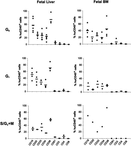 Fig. 3. Differentiation potential of human cells in bone marrow of recipient mice. / Bone marrow cells from NOD/SCID mice transplanted with FL (left panels) and FBM (right panels) G0CD34+, G1CD34+, and S/G2+MCD34+ cells were analyzed for human hematopoietic lineages 8 weeks after transplantation. Each data point represents the percentage of human CD45+ cells positive for the expression of CD antigens indicated on the x-axis in one recipient. Bone marrow cells from mice receiving G0CD34+, G1CD34+, and S/G2+MCD34+ cells were analyzed for the expression of the 9 markers indicated. Horizontal bars for every marker denote the mean value of all measurements made for each antigen.