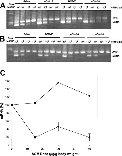 Fig. 3. Hepatic factor VIII and VWF mRNA levels in AOM-treated mice. / Competitive RT-PCR analysis of factor VIII (A) and VWF (B) mRNA was performed on total liver RNA from mice killed at 36 (AOM-50), 48 (AOM-30), or 72 hours (AOM-15 and saline controls), as described in “Materials and methods.” The number of cRNA copies added to the reaction is shown above the gel. DNA markers are 700, 600, 517, and 500 base pair (bp) in panel A and 517, 500, 400, and 300 bp in panel B. (C) Quantitation of competitive RT-PCR data for factor VIII (circles) and VWF (squares). Bands derived from mRNA and cRNA were stained with ethidium bromide and quantitated densitometrically. For determination of factor VIII mRNA levels, the number of mice in the control, AOM-15, AOM-30, and AOM-50 groups was 3, 3, 2, and 2, respectively. Data are expressed as mean ± sample SD.