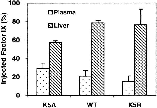 Fig. 2. Amounts of factor IX relative to that injected, recovered from plasma and liver. / Samples were taken 2 minutes after injection. Protein levels were determined as described in “Materials and methods” (n = 3).