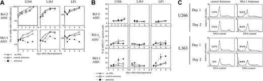 Fig. 2. Analysis of cell viability and apoptosis following Bcl-2, Bcl-xL, or Mcl-1 ASO delivery. / Cells were electroporated with either Bcl-2, Bcl-xL, or Mcl-1 ASO or the mismatched related control. Then cells were resuspended in RPMI 1640 with 2% FCS. A control involving cells electroporated without ASO was performed. (A) Cell viability was determined by vital dye (eosin) exclusion, as assessed by visual inspection in a hemocytometer. (B) Apoptosis was determined by the percentage of APO 2.7–positive cells analyzed by flow cytometry. Apoptosis is expressed as the mean percentage of APO 2.7–positive cells ± SD (n = 3 at least for each condition). (C) Cell cycle analysis following electroporation of cells with Mcl-1 ASO. DNA fluorescence histograms of propidium iodide-stained myeloma cells. The cell cycle was analyzed by using the Modfit LT program (Verity Software House, Topsham, ME). The percentage of apoptotic cells represented by a sub-G1 peak is indicated.