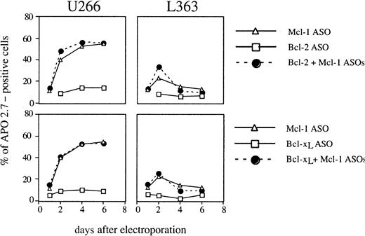 Fig. 3. Analysis of apoptosis following the combination of Bcl-2 and Mcl-1 ASO or Bcl-xL and Mcl-1 ASO delivery. / Cells were electroporated with either Bcl-2 and Mcl-1 ASOs or Bcl-xL and Mcl-1 ASOs. Then, cells were resuspended in RPMI 1640 with 2% FCS. Apoptosis was determined by the percentage of APO 2.7–positive cells analyzed by flow cytometry. Apoptosis is expressed as the percentage of APO 2.7–positive cells (a representative experiment of 3).