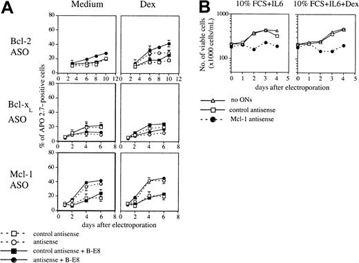 Fig. 5. Effect of IL-6 on the apoptosis induced by ASO. / (A) U266 cells were electroporated with either Bcl-2, Bcl-xL, or Mcl-1 ASO or the mismatched related control. Then cells were resuspended in RPMI 1640 with 2% FCS in the presence or not of Dex (10−6 M). B-E8 was added as indicated at the concentration of 50 ng/mL. (B) Cell viability of XG-6 myeloma cells after Mcl-1 ASO delivery in the presence of 6 ng/mL IL-6.