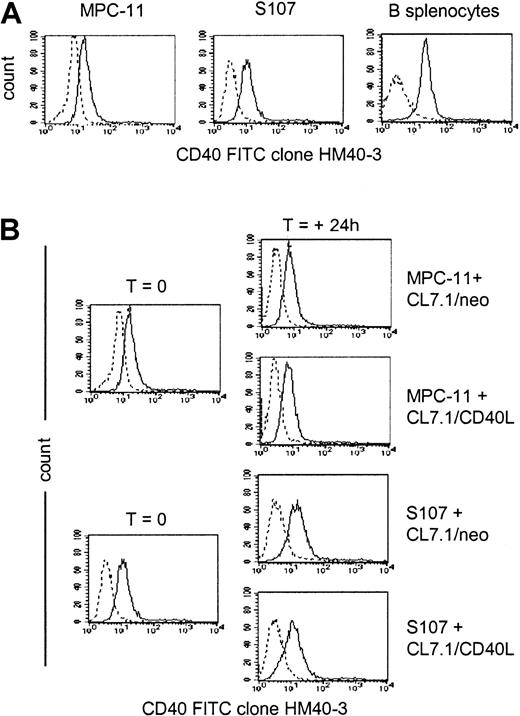 Fig. 1. CD40 expression by MPC-11 and S107 plasmacytoma cell lines. / Data are representative of 3 independent experiments. (A) Exponentially growing MPC-11 and S107 murine plasmacytoma cells as well as normal murine splenocytes were stained with the anti-CD40–FITC (clone HM40-3)–conjugated mAb (solid lines) or with an appropriate isotype-matched antibody (dashed lines). (B) Expression of the CD40 on MPC-11 and S107 cells cocultured for 24 hours with either CL7.1/mCD40L or CL7.1/neo.