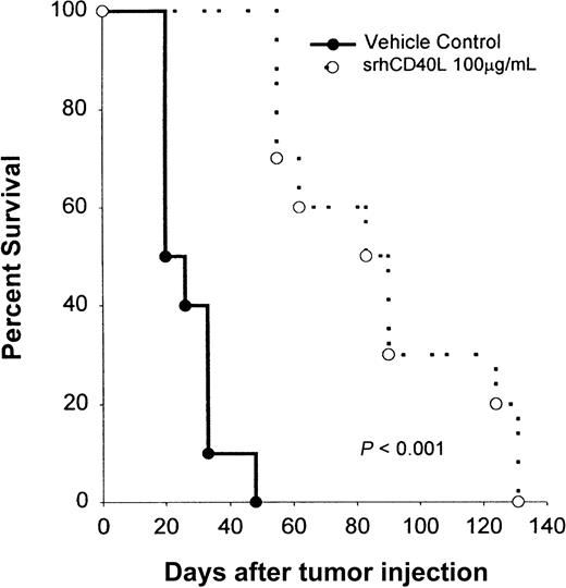Fig. 9. Effects of srhCD40L administration on the survival of NOD/SCID mice bearing a Burkitt lymphoma line. / NOD/SCID mice received IV inoculations with 5 × 106 Raji cells on day 0. The following day, mice were treated with either 100 μg srhCD40L or PBS as a vehicle control IP daily for 10 days. There were 10 mice per group and animals were monitored for tumor growth, survival, and morbidity. The results are expressed as the percentage of surviving mice at various days after tumor challenge.