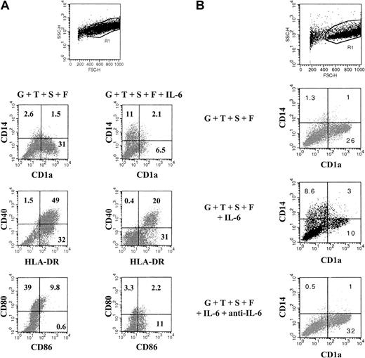 Fig. 3. Differentiation of DCs derived from CD34+ cells is inhibited by IL-6. / CD34+ progenitor cells were incubated with GM-CSF, TNF-α, SCF, and FLT3-L (G+T+S+F) with or without IL-6. Medium with cytokines was replaced at day +7 with IL-4 used in place of the early-acting growth factors SCF and FLT3-L to stimulate terminal differentiation of DCs. At day +14, the cells were labeled with CD14-PE/CD1a-FITC, HLA-DR-PE/CD40-FITC, or CD86-PE/CD80-FITC and were analyzed on a FACScan (A). (B) Antibodies to anti–IL-6 were used to neutralize the inhibitory effect of the cytokine. Results are from one representative experiment of 5 different samples analyzed. IL-6 up-regulated CD14 and down-regulated CD1a, HLA-DR, CD40, and CD80 antigens (A). The effects of IL-6 on CD14/CD1a phenotype were reversed by anti–IL-6 neutralizing antibodies (B).