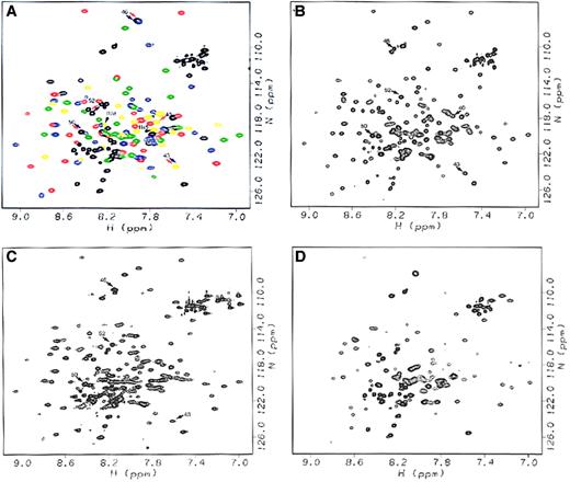 Fig. 2. HSQC spectra of native Arg28/Arg45, Arg45Thr, Arg45Ser, and Arg28Ser peptides. / (A) Native Arg28/Arg45 peptide, with resonances corresponding to the initial unstructured sequence 1-20 and the loop regions between helices 46-52, 82-87, and 119-122 shown in black; resonances corresponding to the initial Helix C′ shown in yellow; and resonances corresponding to Helices A1, B1, and C1 of the triple helical bundle shown in red, green, and blue, respectively. Arrows denote resonances affected by the mutations, with black arrows noting the mutated residues (Arg45 and Arg28), red arrows noting resonances affected by the Arg45Thr mutation, and blue arrows noting resonances affected by the Arg45Ser mutation. (B) Arg45Thr peptide, with arrows noting resonances whose chemical shifts are affected by the mutation. (C) Arg45Ser peptide, with arrows noting resonances affected by the mutation. (D) Arg28Ser peptide, for which missing resonances can be seen by comparison with (A). All spectra were acquired for the samples in NMR sample buffer at 20°C.