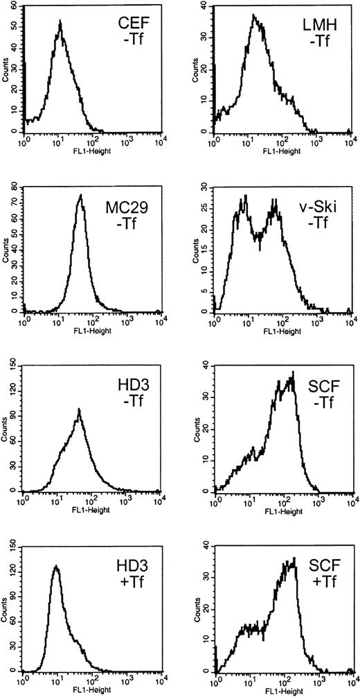Fig. 1. Surface expression of functional TfRs in erythroid and nonerythroid cell types. / Cells were immunolabeled with the chicken TfR-specific antibody JS-831 and a secondary FITC-conjugated antibody immediately after harvesting. The cells were subjected to flow cytometry (FACScan; Becton Dickinson) and results analyzed using the CellQuest software package. The histograms represent the frequency distribution of fluorescence intensity (FL-1 height) directly correlating with the TfR expression levels on the cell surface. As controls, cells were analyzed without staining, stained with an unspecific antibody (51/3) and FITC or solely with FITC. The background fluorescence was less than 6 units (not shown). The nonerythroid cell types CEF, LMH, and MC29-HD11 and the hematopoietic v-Ski–expressing progenitors were cultured under standard conditions (without additional iron supply; labeled −Tf). The erythroleukemic HD3E22 cells and the primary erythroid SCF progenitors were cultured either under physiologic iron supply (1 mg/mL Tf; for details see “Materials and methods”; labeled +Tf), or without additional iron source (−Tf) for at least 24 hours. CEF indicates chicken embryo fibroblasts; LMH, leghorn male hepatoma cells; MC29, MC29-HD11 macrophagelike cells; v-Ski, hematopoietic cells expressing the v-Ski proto-oncogene; SCF, SCF progenitors; HD3, HD3E22 erythroblasts.