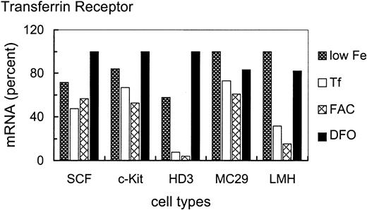Fig. 3. Iron-dependent modulation of TfR mRNA levels in primary SCF progenitors compared with erythroleukemic and somatic cell types. / Iron-dependent modulation of TfR mRNA was compared in primary and transformed erythroid (SCF, c-Kit, HD3E22) as well as nonerythroid (MC29-HD11 and LMH) cell types. The cells were cultured under different iron supply for 24 hours; no additional iron, 1 mg/mL Tf (= 25μM Fe), 20 μg/mL FAC (= 63 μM Fe), and 50 μM DFO. TfR mRNA levels were determined as described in the legend of Figure 2. To emphasize the iron-dependent changes in TfR mRNA levels between the different cell types, the respective maximal values were set to 100%. Note that the relatively “small” differences in mRNA abundance (as compared to other reports in the literature) are due to the linear quantification by PhosphoImage analysis used here as compared to densitometric evaluation of autoradiographs, which has a tendency to underestimate both very low as well as very high signal intensities.