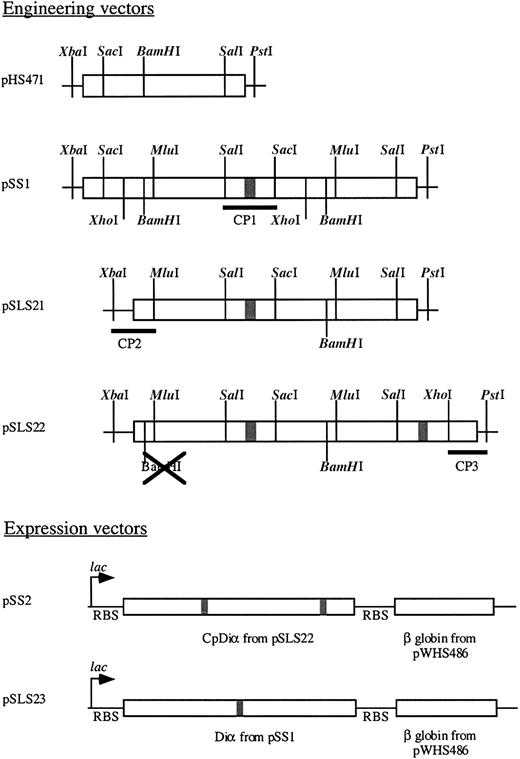 Fig. 1. Vectors utilized in engineering and expression of CpHb and DiαHb. / Boxed areas are coding sequences, where shaded box is a glycine linker. Vector names are at the left with restriction sites and cassettes used denoted.
