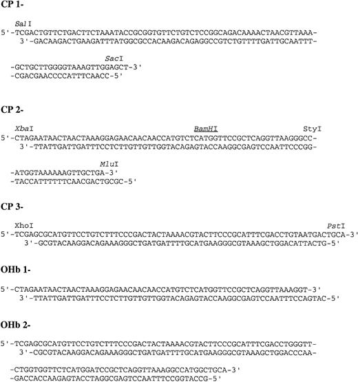 Fig. 2. DNA cassettes used in genetic constructions.