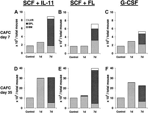 Fig. 1. Progenitor and stem cell number after growth factor treatment. / Total number of CAFCs–day 7 and CAFCs–day 35 per mouse (bone marrow plus spleen plus liver, n = 3) after treatment with SCF plus IL-11, SCF plus FL, or G-CSF for either 1 or 7 days. The numbers of CAFCs–day 7 are depicted in panels A to C, whereas panels D to F show the numbers of CAFCs– day 35.