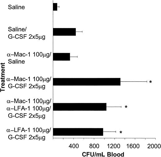 Fig. 4. The G-CSF–induced mobilization of progenitor cells is synergistically enhanced by pretreatment with anti–Mac-1 antibodies (5C6). / Mice were pretreated with a single injection of anti–Mac-1 antibodies intraperitoneally (n = 5-18) or saline (n = 5-18) followed by either 5 μg G-CSF per day or saline. The injections were given once daily for 2 days, starting 24 hours after antibody treatment. Twenty-four hours after the last injection, mice were killed and blood was harvested. Results are expressed as mean ± SD. *P < .05 compared with the saline plus G-CSF–treated controls.