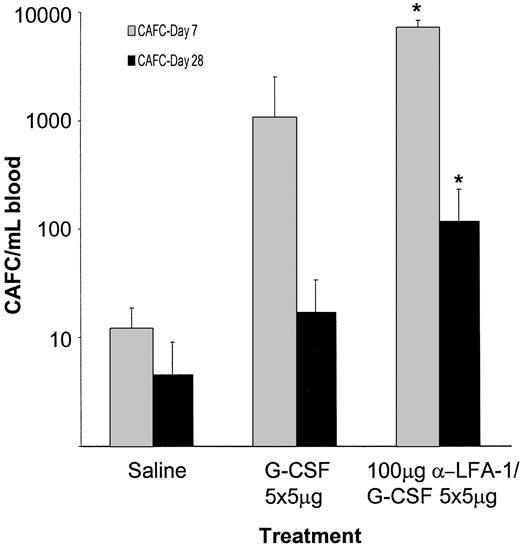 Fig. 6. The numbers of CAFCs in peripheral blood are increased after pretreatment with neutralizing anti–LFA-1 antibodies. / Mice were treated intraperitoneally with saline (n = 3), G-CSF 5 μg/d for 5 days (n = 9), or anti–LFA-1 antibodies followed by G-CSF during 5 days (n = 4). Twenty-four hours after the last injection, blood was obtained by cardiac puncture. Results are expressed as mean ± SD. *P < .05 compared with the G-CSF–treated controls.