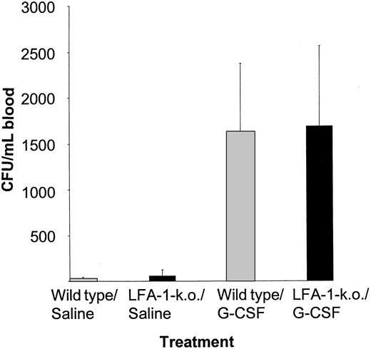 Fig. 7. The G-CSF–induced mobilization of peripheral blood progenitor cells is not enhanced in LFA-1 knock-out mice. / LFA-1 knock-out mice and their wild-type littermate controls were either treated with saline (n = 10 and n = 11, respectively) or with 5 μg G-CSF once daily for 5 days (n = 18 and n = 19, respectively). Twenty-four hours after the last injection, mice were killed and blood was obtained by cardiac puncture. Results are expressed as mean ± SD.
