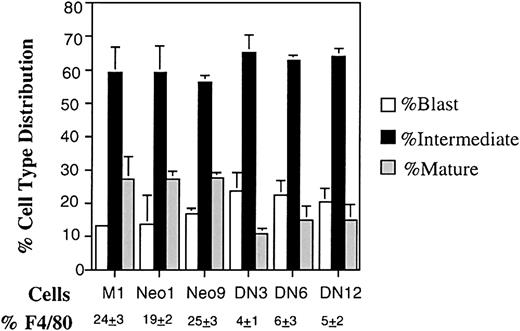 Fig. 5. Differentiation characteristics of M1, M1Neo, and M1NF-YA DN cell in mass culture. / Cells were collected 3 days following IL-6 stimulation (10 ng/mL), and morphologic differentiation was determined by counting at least 300 cells on May-Grünwald Giemsa–stained cytospin smears and scoring the proportion of immature blast cells, cells at the intermediate monocytic differentiation, and mature macrophages as detailed in “Materials and methods.” Percentage of cells expressing the macrophages specific cell surface marker F4/80 was determined by FACS analysis as detailed in “Materials and methods.” Values are averages of 3 independent experiments, and SDs are indicated. The SD of M1 blast cells is too small to be seen.
