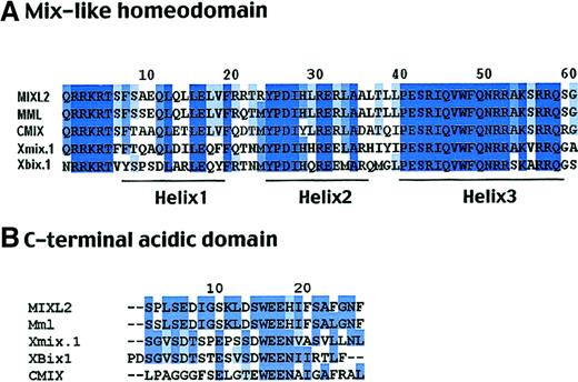 Fig. 2. High degree of conservation in the homeo- and acidic carboxy-terminal domains in evolution. / (A) ClustalW alignment of the 60 amino acid homeodomain sequences. The MIXL homeodomain shows 66% identity to that of XenopusMix.1. Residues constituting the 3 helical motifs are denoted. Note the high identity in the amino-terminal arm and helix 3 responsible for DNA binding. (B) Homology in the carboxy-terminal acidic domain. The highly conserved SxxSD/E and WEE motifs are denoted.