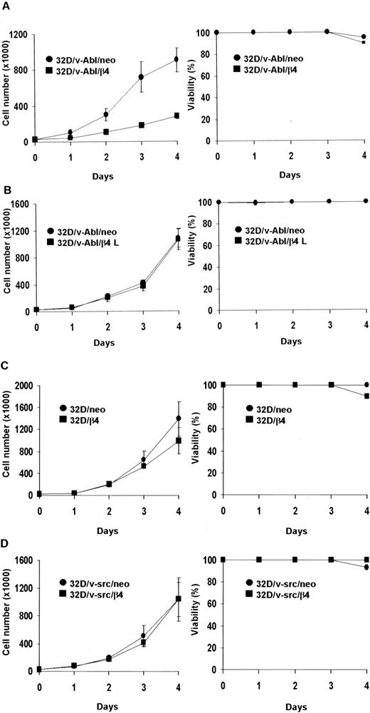 Fig. 2. Cell proliferation of 32D, 32D/v-src, 32D/v-Abl neo cells and/or transduced with wild-type and truncated β4 molecules. / Cells (3 × 104) were plated in triplicate and counted at daily intervals. The number of viable cells was determined by trypan blue exclusion. Panels show cell proliferation and viability of: ● 32D/v-Abl/neo and ■ 32D/v-Abl/β4 cells (A); ● 32D/v-Abl/neo and ■ 32D/v-Abl/β4 L (B); ● 32D/neo and ■ 32D/β4 (C); ● 32D/v-src/neo and ■ 32D/v-src/β4 (D).