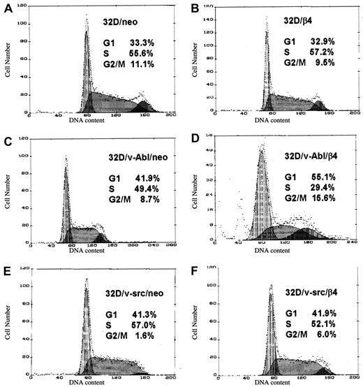 Fig. 3. Effects of β4 integrin expression on the cell cycle of 32D, 32D/v-src, 32D/v-Abl neo cells and their counterparts transduced with wild-type β4 molecule. / (A) 32D/neo cells; (B) 32D/β4 cells; (C) 32D/v-Abl/neo cells; (D) 32D/v-Abl/β4 cells; (E) 32D/v-src/neo cells; (F) 32D/src/β4 cells. The DNA contents were measured by fluorimetric analysis of fixed and PI-stained cells.