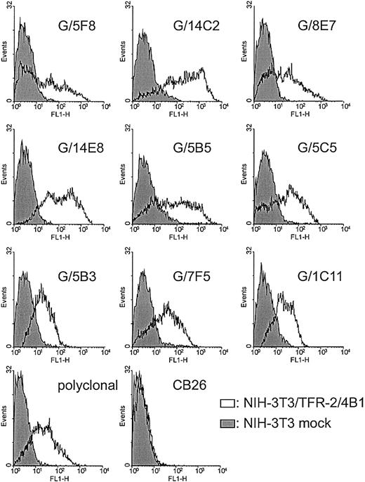 Fig. 1. Reactivity of the mAbs and polyclonal antiserum against NIH-3T3/TFR-2/4B1 and control mock-transfected NIH-3T3 cells. / Primary fusion cultures were screened for binding to murine fibroblasts transfected with the human TFR-2 gene (NIH-3T3/TFR-2/4B1, white histograms), using mock-transfected NIH-3T3 cells (gray profiles) as negative control. The selection grid allowed the identification of 9 specific mAbs. A polyclonal antiserum, obtained by immunizing Balb/c mice with a mixture of 3 peptides derived from the TFR-2 sequence, displayed the same reactivity. CB26, a TFR-1–specific mAb, did not cross-react with NIH-3T3/TFR-2/4B1 cells. X-axis, fluorescence intensity/cells; y-axis, number of cells registered/channel.