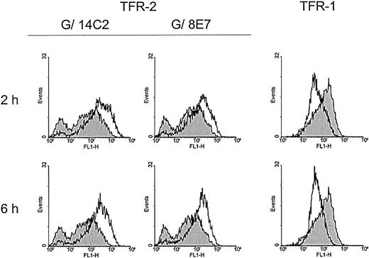Fig. 6. Modulation of TFR-2 expression by TF in K562 cells. / K562 cells were exposed to HOLO-TF and tested for surface expression of TFR-2 after 2 and 6 hours, respectively (white profiles), using 2 different specific mAbs, namely G/14E8 and G/8E7. Gray profiles show the expression of TFR-2 in basal culture conditions. TFR-1 expression was used as control, with the same indications. Representative data from 4 independent experiments are shown.