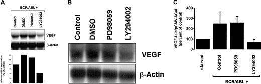 Fig. 3. Effects of PD98059 and LY294002 on BCR/ABL-induced VEGF gene expression. / (A) Ton.B210-X cells grown in the presence of doxycycline were incubated with MEK inhibitor PD98059 (50 μM), PI3-kinase inhibitor LY294002 (20 μM), dimethyl sulfoxide (DMSO; solvent control), or control medium (control) for 24 hours. After incubation, cells were harvested and subjected to Northern blotting using a VEGF cDNA probe. The β-actin loading control and a densitometric quantification of VEGF mRNA levels (relative to β-actin) are shown below the blot analyses. (B) Primary leukemic peripheral blood cells derived from a patient with chronic-phase BCR/ABL+ CML were incubated with PD98059 (10 μM), LY294002 (10 μM), DMSO, or control medium for 12 hours and then subjected to Northern blotting. The β-actin loading control is also shown. (C) Ton.B210-X cells induced to express BCR/ABL by the addition of doxycycline were incubated with PD98059 (50 μM), LY294002 (20 μM), or control medium for 24 hours. Induced and starved Ton.B210-X cells (not expressing BCR/ABL) were examined for VEGF reporter gene activity. Results represent the means ± SD of 3 independent experiments.