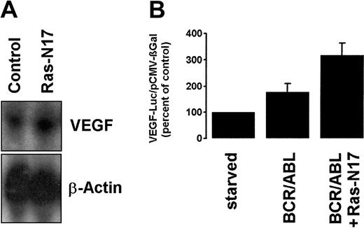 Fig. 4. Effect of a dominant-negative Ras mutant (Ras-N17) on BCR/ABL- induced VEGF gene expression. / (A) Ton.B210-X cells induced to express BCR/ABL were transfected with Ras-N17 or a control plasmid (control) and were subjected to Northern blot analysis. The blot was probed for VEGF and reprobed for β-actin. (B) VEGF promoter activity. Ton.B210-X cells were cotransfected with VEGF-Luc/pCMV-βGAL and Ras-N17 or a control plasmid. Results represent the means ± SD of 3 independent experiments.