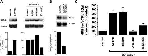 Fig. 8. Effects of pharmacologic inhibitors on BCR/ABL-dependent expression of HIF-1α mRNA and HIF-1α transcriptional activity. / (A) Ton.B210-X cells were starved or grown in the presence of doxycycline and were incubated with the MEK-inhibitor PD98059 (25 μM), the PI3-kinase inhibitor LY294002 (20 μM), DMSO, or control medium for 16 hours. A densitometric evaluation of HIF-1α mRNA is shown below. (B) The effect of rapamycin (20 nM) on BCR/ABL-dependent expression of HIF-1α mRNA in Ton.B210-X cells is shown. Northern blotting was performed using a murine HIF-1α probe. After reprobing for β-actin, autoradiograms were subjected to densitometry, the results of which are shown below the blot analyses. (C) Effect of inhibitors on BCR/ABL-induced HRE-promoter activity. Ton.B210-X cells were starved or induced to express BCR/ABL and were incubated with inhibitors as indicated (50 μM PD98059; 20 μM LY294002; 20 nM rapamycin). After 48 hours, cells were assayed for luciferase and βGal activities. HRE transcriptional activity was reported as the ratio HRE-Luc/pCMV-βGal and was expressed as percentage of control (starved cells). Results represent the means ± SD of 3 independent experiments.