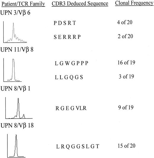 Fig. 5. Sequencing of CDR3 region in skewed TCR-Vβ families. / Cloned CDR3 PCR products were subjected to repetitive sequencing. Spectratype (left), deduced amino acid sequence (middle), and the number of clones with the identical sequence as a clonal frequency (right) are shown.