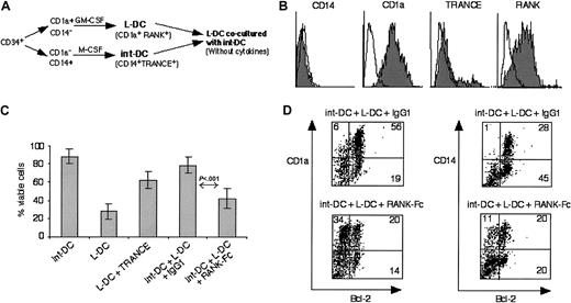 Fig. 5. CD34+-derived int-DCs sustain viability of L-DCs. / (A) Schematic description of the experiment. CD34+progenitor cells were cultured in SCF, GM-CSF, and TNFα, and at day 6 the CD1a+CD14− and the CD1a−CD14+ precursors were cell sorted. L-DCs were generated from the CD1a+CD14− precursors in the presence of GM-CSF,25 and CD34+-derived int-DCs were generated from the CD1a−CD14+precursors by culture in M-CSF. L-DCs and CD34+-derived int-DCs were washed and cocultured for 2 days in medium lacking cytokines. (B) L-DCs expressed CD1a and RANK but lacked CD14 and TRANCE. White histograms represent isotype controls, and specific labeling is shown in gray. (C) Percentage cell viability of int-DCs and L-DCs after 2 days in cytokine-free medium: int-DCs and L-DCs alone, L-DCs with soluble TRANCE, coculture of in-DCs and L-DCs in the presence of IgG1 or RANK-Fc. Cell viability was determined by trypan blue exclusion of dead cells. The results are expressed as the means of 5 independent experiments with SD of the data. (D) Double-labeling of cells in the cocultures using anti–Bcl-2-FITC and anti–CD14-PE or anti–CD1a-PE. Percentages of labeled cells are indicated in the quadrants. The data are representative of 3 independent experiments.