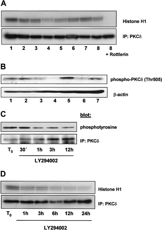 Fig. 7. PKCδ is constitutively activated in B-CLL cells. / (A) A sample of 300 μg total protein content of 8 different freshly isolated B-CLL cells was immunoprecipitated with an antibody against PKCδ and in vitro kinase assay was performed in the absence (lanes 1-8) or presence (lane 9) of Rottlerin using histone H1 as an exogenous substrate. Proteins were analyzed by SDS-PAGE and a phosphorylated form of histone H1 was detected by autoradiography. (B) A sample of 100 μg total protein content of 7 different B-CLL cells was analyzed by immunoblot with an antiphosphothreonine 505 antibody specific for PKCδ. Samples from panel A were different from those shown in panel B. To investigate the influence of PI-3K activity on PKCδ, cells were incubated with 10 μM LY294002 and lysed after the indicated time period. Then PKCδ was immunoprecipitated with a specific antibody. (C) Tyrosine phosphorylation was detected by using an antiphosphotyrosine 4G10 antibody. (D) PKCδ kinase activity was measured by a in vitro kinase assay as described in (A).