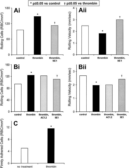 Fig. 1. P-selectin is important in the flow adhesion of sickle erythrocytes to thrombin-stimulated endothelium in vitro. / The number of sickle cells adhering to HUVECs (i) and the rolling velocities of the adhering cells (ii) were examined. (A) In 10 experiments, the rolling adhesion of sickle cells to HUVECs was examined prior to and after treatment of HUVECs with thrombin. The rolling adhesion of sickle cells to thrombin-treated HUVECs was then examined in the presence of anti–P-selectin mAb 9E1. Statistically significant differences compared with untreated HUVECs (*) and to thrombin-treated HUVECs (††) are indicated. (B) In 3 experiments the rolling adhesion of sickle cells to thrombin-treated HUVECs also was examined in the presence of nonblocking anti–P-selectin mAb AC1.2. Statistically significant differences compared with untreated HUVECs (*) and to thrombin-treated HUVECs (†) are indicated. (C) In 10 experiments the firm adhesion of sickle cells to HUVECs was examined prior to and after treatment of HUVECs with thrombin. Statistically significant differences (*) are indicated.