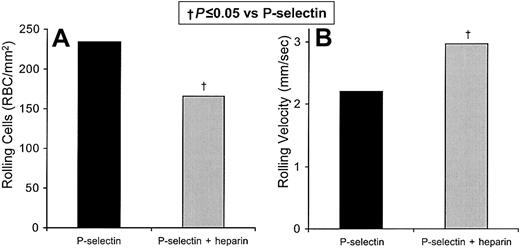 Fig. 4. Heparin inhibits the flow adhesion of sickle erythrocytes to immobilized P-selectin in vitro. / The number of sickle cells adhering to immobilized protein and the rolling velocities of the adhering cells were examined. In 3 experiments the rolling adhesion of sickle cells to immobilized recombinant P-selectin was examined in the presence and absence of unfractionated heparin. Statistically significant differences compared with immobilized recombinant P-selectin (†) are indicated.