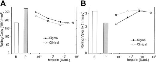 Fig. 5. Clinically obtainable concentrations of clinical-grade heparin inhibit the adhesion of sickle cells to P-selectin. / The number of sickle cells adhering to immobilized protein (A) and the rolling velocities (B) of the adherent sickle cells on immobilized P-selectin were examined in the presence of 0.05, 0.5, 5, or 50 U/mL of laboratory-grade heparin (Sigma) or clinical-grade heparin (Clinical). Adherent sickle cells also were examined for number of cells rolling on BSA (B) or on immobilized P-selectin (P) and their velocities in the absence of heparin.