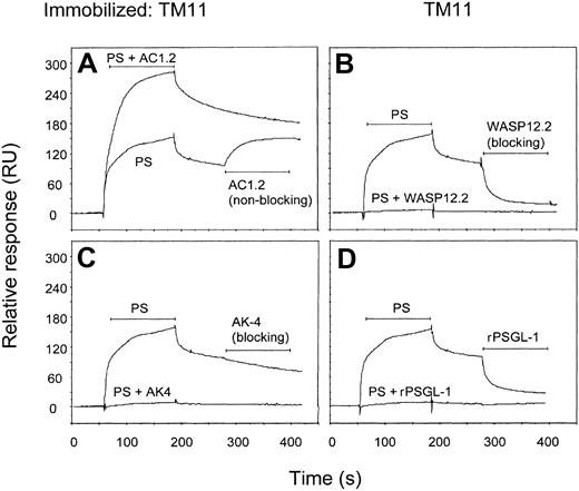Fig. 3. Displacement of TM11: association to P-selectin by blocking antibodies and rPSGL-Ig. / Human P-selectin (20 nM, 50 μL) was injected over the TM11 surface, followed by blocking or non–blocking antibodies (10 μg/mL). In the same figures, coinjections of P-selectin and antibodies or rPSGL-Ig are shown. The horizontal bars indicate the infusion periods. (A) Non–blocking antibody AC1.2 was able to bind TM11-associated P-selectin as indicated by an increase in response units. Coinjection of P-selectin with AC1.2 resulted in a higher response than injection of P-selectin alone, due to the formation of a P-selectin/AC1.2 complex. (B) Blocking antibody WASP 12.2 displaced P-selectin from TM11. (C) Blocking antibody AK-4 was not able to bind or displace TM11-bound P-selectin when it was injected after P-selectin, although coinjection with P-selectin led to complete inhibition of TM11 binding. (D) rPSGL-Ig displaced P-selectin from TM11. Results represent typical sensorgrams of at least 2 experiments.