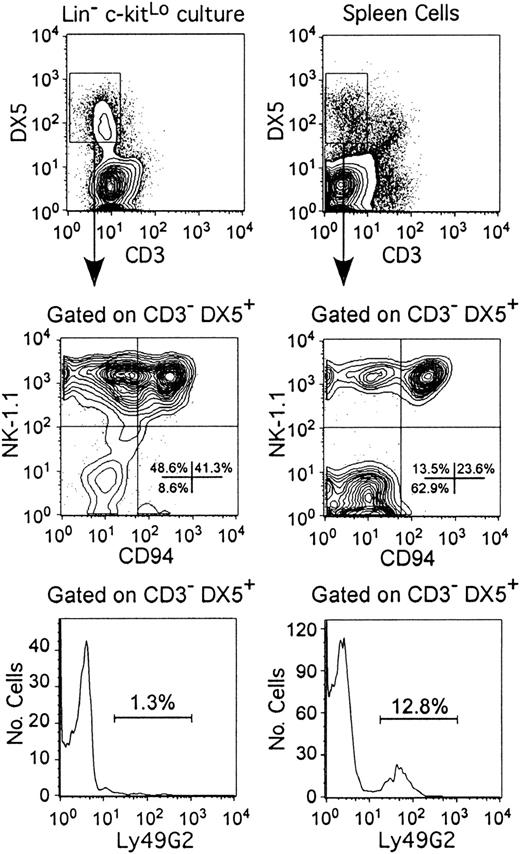 Fig. 1. Generation of immature NK cells in one-step, serum-free, stromal cell–free cultures. / Lin− c-kitLo cells were isolated from bone marrow as described in “Materials and methods” and placed in serum-free, stromal cell–free cultures containing SCF, FL, IL-7, and IL-15. Seven days later, cells were harvested and compared with freshly isolated spleen cells by flow cytometry. The top 4 plots show expression of CD3, DX5, NK-1.1, and CD94 markers on cells derived from C57BL/6 mice, whereas the lower 2 histograms illustrate the Ly49G2 on NK-lineage cells generated from BALB/c mice.