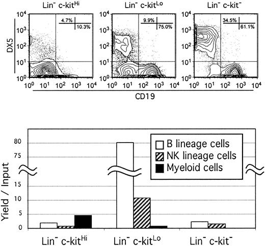 Fig. 2. Most Lin− NK-cell progenitors are most abundant in the c-kitLo fraction of bone marrow cells. / Bone marrow cells bearing markers associated with various blood cell lineages were rigorously depleted with magnetic beads and high-speed cell sorting (as described in “Materials and methods”). The remaining Lin− cells were sorted into 3 fractions according to density of c-kit and cultured with SCF, FL, IL-7, and IL-15 for 7 days. Recovered cells were then counted and analyzed by flow cytometry for expression of B (CD19), NK (DX5), or myeloid (CD11b/Mac-1, not shown) lineage antigens (top panels). Absolute numbers of recovered cells of each type were then divided by the numbers of precursors used to initiate the cultures to obtain the yield per input values shown in the lower graph.
