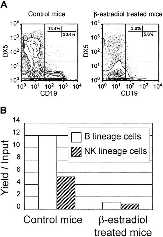 Fig. 3. Both NK-and B-lineage lymphocytes derive from hormone-sensitive progenitors in the bone marrow. / Lin− c-kitLo bone marrow cells were prepared from mice implanted 7 days previously with estrogen pellets (β-estradiol–treated mice) or from control animals (control mice) and used to initiate cultures containing SCF, FL, IL-7, and IL-15. (A) The top panels show typical flow cytometry profiles for cells harvested 7 days later. (B) The data were also calculated according to absolute numbers of B-lineage (open bars) or NK-lineage (hatched bars) cells generated in culture per input cell.