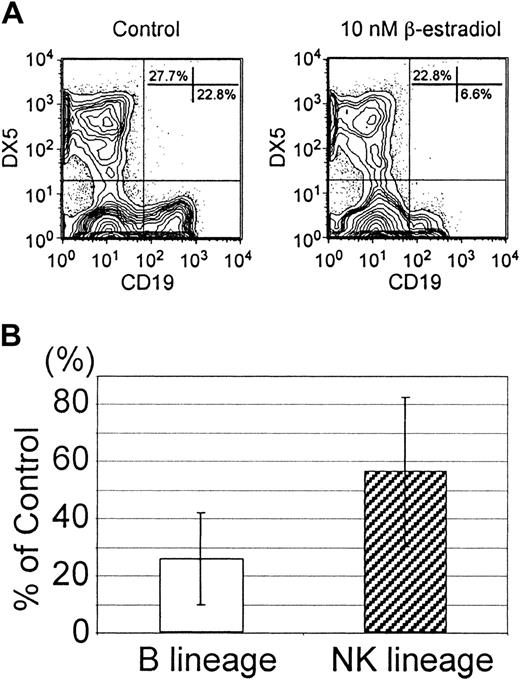 Fig. 4. Most NK-cell precursors in the Lin−c-kitLo fraction are not directly sensitive to estrogen. / Lin− c-kitLo bone marrow cells were put into serum-free, stromal cell–free cultures along with vehicle (control) or estrogen (β-estradiol). One week later, the cultures were harvested and examined by flow cytometry for the production of B-lineage (CD19+) or NK-lineage (DX5+) lymphocytes. (A) Typical flow cytometry profiles are shown from one representative experiment. (B) Data from 9 independent experiments were normalized and expressed as average yields of B- and NK-lineage lymphocytes in estrogen-treated cultures relative to the untreated controls ± SE