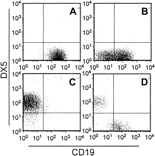 Fig. 5. The Lin− c-kitLoFlk-2+ fraction of bone marrow contains B/NK-bipotential progenitors as well as committed B- and NK-cell progenitors. / Single-cell cultures were initiated as described in “Materials and methods.” Typical examples are shown of individual culture wells that were harvested 11 to 15 days later and found by flow cytometry to contain (A) B cells, (B) B cells and undifferentiated cells, (C) NK cells, and (D) both B and NK cells. The results from 3 such experiments are summarized in Table 1.