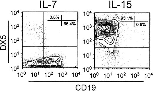Fig. 6. B and NK lineages diverge and become independently regulated by IL-7 or IL-15. / The Lin− c-kitLo fraction of bone marrow cells was placed in primary cultures containing SCF, FL, and IL-7 for 5 days. Harvested cells were then washed and cultured for an additional 5 days with either IL-7 alone or IL-15 alone. The recovered cells were then analyzed by flow cytometry as shown.