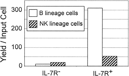 Fig. 7. B-cell precursors are more enriched than NK-cell precursors among the IL-7Rα+ subset of Lin−bone marrow cells. / The Lin− c-kitLo Flk-2/Flt3+fraction of bone marrow was isolated and further sorted into IL-7Rα+ and IL-7Rα− subsets before culture with SCF, FL, IL-7, and IL-15. Absolute numbers of recovered B (CD19+) and NK (DX5+) cells were determined by flow cytometry and calculated according to yield per input cell.