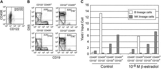 Fig. 8. Restriction to the NK lineage occurs as Lin− c-kitLo cells acquire the CD122 receptor for IL-15. / Lin− c-kitLo cells were first cultured for 3 days with SCF, FL, and IL-7. They were then stained, analyzed, and sorted into 4 categories based on the acquisition of CD45R/B220 or CD122 (A). Each subset was then returned to culture along with SCF, FL, IL-7, and IL-15 for an additional 5 days. Finally, the recovered cells were analyzed by flow cytometry to assess the generation of B-lineage (CD19+) or NK-lineage (DX5+) lymphocytes (B). Absolute yields per input cells were calculated following primary and secondary cultures and are presented in Table 2. A similar experimental design was used to determine which of the 4 subsets present at the end of the first culture interval were sensitive to estrogen. The results are presented as yields of NK- or B-lineage cells per precursor placed in the secondary cultures (C).