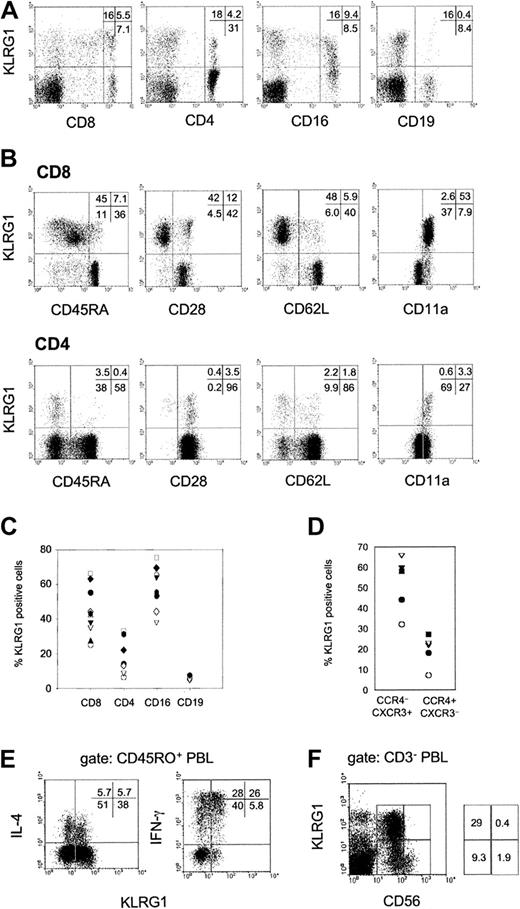 Fig. 2. Expression of KLRG1 in human PBL. / (A) PBLs from a representative healthy donor were doubly stained with mAb specific for KLRG1 and CD8, CD4, CD16, or CD19. (B) Coexpression of KLRG1 versus CD45RA, CD28, CD62L, and CD11a gated on CD8 and CD4 T cells. (C) Percentages of KLRG1+ cells in the indicated cell subsets of healthy adult donors (20 to 40 years of age). Each symbol represents the value from one donor. (D) CD4 T cells were analyzed for coexpression of KLRG1, CCR4 and CXCR3. The plot shows percentages of KLRG1+ cells in the Th1-biased CCR4 CXCR3+ and the Th2-biased (CCR4+CXCR3) cell populations. Each symbol represents the value from one donor. (E) KLRG1 versus intracellular IL-4 and IFN-γ staining gated on CD45RO+ memory T cells. PBLs were activated by PMA and ionomycin for 4 hours before cytokine analysis. (F) KLRG1 expression on NK cells. PBLs were triple-stained with mAbs specific for CD3, CD56, and KLRG1. The dot plot displays KLRG1 versus CD56 expression gated on CD3− PBLs.